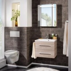 Fackelmann Waschtisch B.clever 60 Cm Esche -Wenko Verkäufe 145586 3254 3