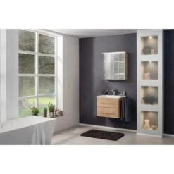 Fackelmann Waschplatz 60 Cm B.perfekt Ast-Eiche 11 Fackelmann Waschplatz 60 Cm B.perfekt Ast-Eiche -Wenko Verkäufe 245460 3254 3