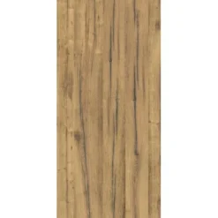 Schulte ExpressPlus DecoDesign Duschrückwand Dekor Schwarzwaldeiche Hell 255x100