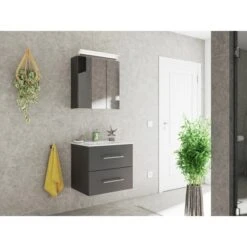 Posseik Badmöbel-Set Homeline 60cm Anthrazit Seidenglanz 3-teilig