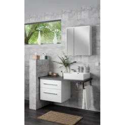 Fackelmann Spiegelschrank 60 Cm Denver Weiß 5 Fackelmann Spiegelschrank 60 Cm Denver Weiß -Wenko Verkäufe 82 SpiegelschrankHype3.0 3